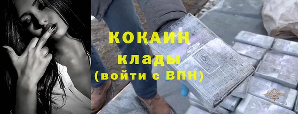 ПСИЛОЦИБИНОВЫЕ ГРИБЫ Кукмор