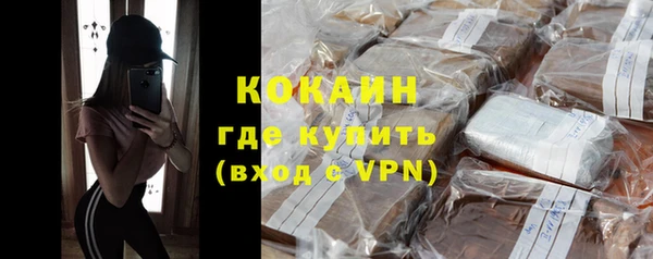 крисы Кулебаки
