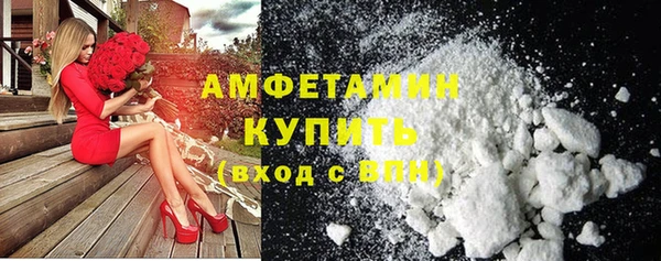крисы Кулебаки