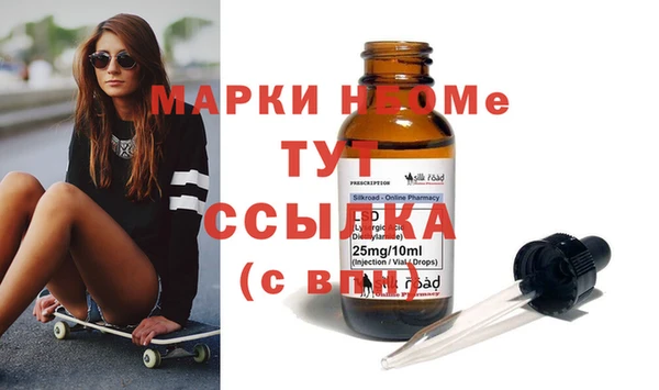 крисы Кулебаки