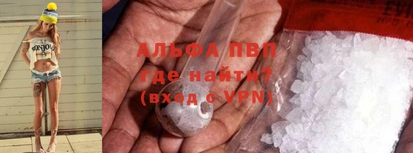 ПСИЛОЦИБИНОВЫЕ ГРИБЫ Кукмор