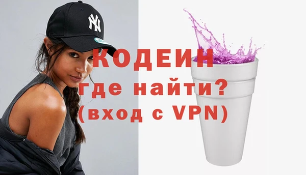 крисы Кулебаки