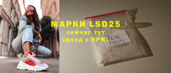 крисы Кулебаки