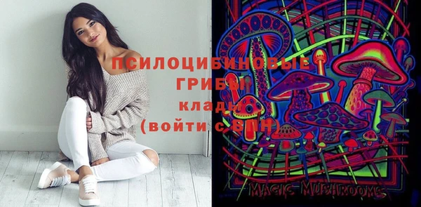 крисы Кулебаки