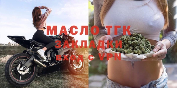 крисы Кулебаки