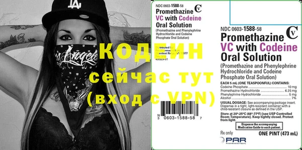 крисы Кулебаки