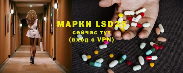 крисы Кулебаки