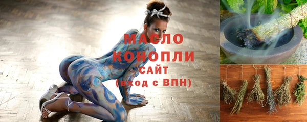 крисы Кулебаки