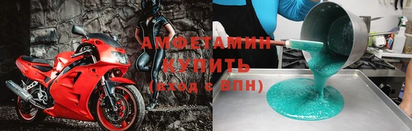крисы Кулебаки