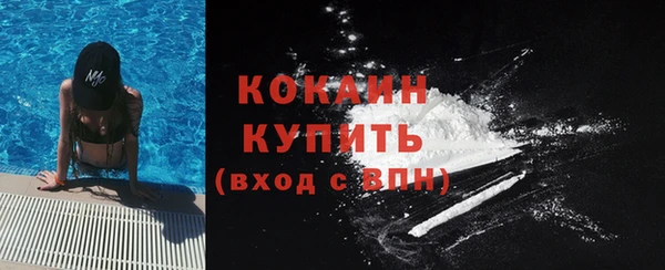 крисы Кулебаки