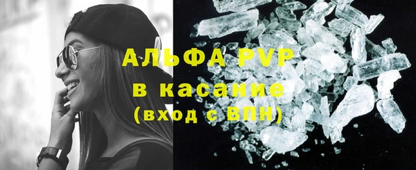крисы Кулебаки