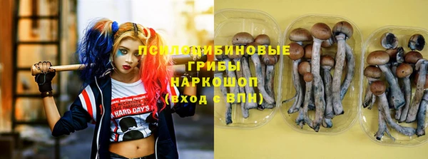 крисы Кулебаки
